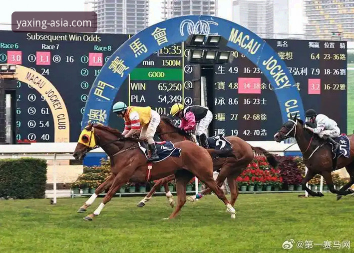 亚星娱乐平台功能全面解析：从官网首页到最新版本v1.5.3的深度体验